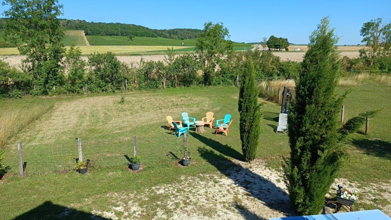 Seine En Bulles Villa Бар-сюр-Сен Екстериор снимка